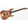 Sire Larry Carlton X10 Elektro Gitar NTS