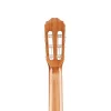 Takamine GB-GC5CE NAT Elk.Klasik Gitar Gigbag Dahil