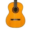 Takamine GC5-NAT Klasik Gitar