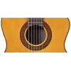 TAKAMINE GC5CE LH NAT Solak Elektro Klasik Gitar