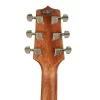 Takamine GD20CE-NS TP4-TD Elektro Akustik Gitar
