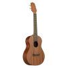 TAKAMINE GU-T1 Tenor Ukulele