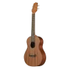 TAKAMINE GU-T1 Tenor Ukulele