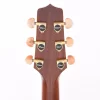 TAKAMINE P3D Dreadnought Sapele Ağacı CT4BII Preamp Elektro Akustik Gitar (Gig Bag Hediyeli)