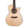 TYMA G-20S Cutaway Akustik Gitar