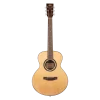 TYMA M-20S Akustik Gitar