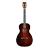 TYMA P-18E BRS Elektro Akustik Gitar