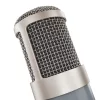 Universal Audio Bock 167 Profesyonel Tüplü Stüdyo Mikrofon