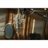 Universal Audio Bock 167 Profesyonel Tüplü Stüdyo Mikrofon