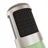 Universal Audio Bock 251 Profesyonel Tüplü Stüdyo Mikrofon