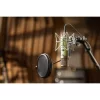 Universal Audio Bock 251 Profesyonel Tüplü Stüdyo Mikrofon