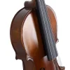 VANETTA VL-5 / 1/2 Masif Keman (Abanoz Burgu ve Aksam)