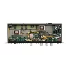 Warm Audio TB12 TONE BEAST - Black
