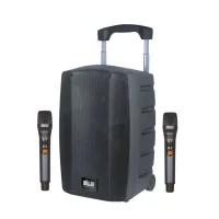 Wöller Mobil Hoparlör W-1030A, Çift El Mikrofonlu, Şarjlı, 2+3 Kanal