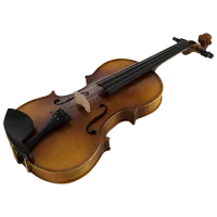 ANTON BRUCKNER MAESTRO V Keman (Thomastik Telli - Yay ve Taşıma Çantası Dahil)