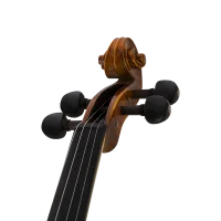 ANTON BRUCKNER MAESTRO V Keman (Thomastik Telli - Yay ve Taşıma Çantası Dahil)