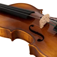 ANTON BRUCKNER MAESTRO V Keman (Thomastik Telli - Yay ve Taşıma Çantası Dahil)