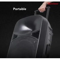 Baretone MAX15 15 Taşınabilir Ses Sistemi | 260W Çift El Kablosuz Mikrofonlu | USB, Bluetooth