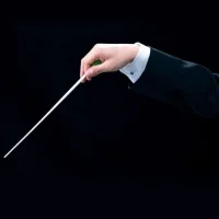 FOCUS FCB02 Şef Çubuğu/Baton (38.5 cm)