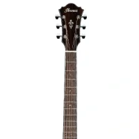 Ibanez AE160-VMS Elektro Akustik Gitar