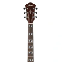 Ibanez AE170-NTR Elektro Akustik Gitar