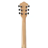 Ibanez AE170-NTR Elektro Akustik Gitar