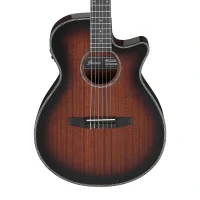Ibanez AEG74N-MHS Elektro Akustik Gitar