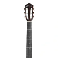 Ibanez AEG74N-MHS Elektro Akustik Gitar