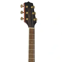 Takamine GD51CE NS Elektro Akustik Gitar