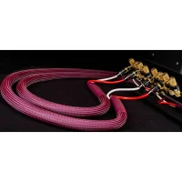 Tchernov CLASSIC MKIII SC BN/BN Hoparlör Kablosu