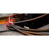 Tchernov REFERENCE DSD SC BN/BN Hoparlör Kablosu