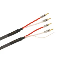 Tchernov ULTIMATE DSC SC Hoparlör Kablosu