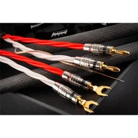 Tchernov ULTIMATE DSC SC Hoparlör Kablosu