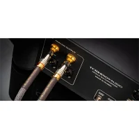 Tchernov ULTIMATE SLIM IC RCA Kablo