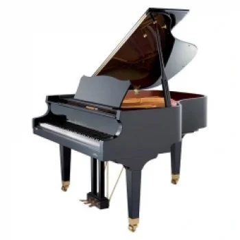 Akustik Kuyruklu Piyanolar