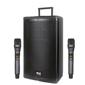 Taşınabilir Ses Sistemi