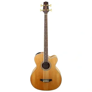 Akustik Bas Gitar