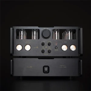 Allnic Audio H 10000 OTL/OCL Lambalı Pikap Pre Power Amfiü
