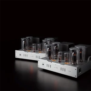 Allnic Audio M 3000 MK3 Lambalı Mono güç Power Amfiü