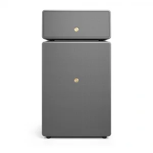 Audio Pro Drumfire II Gri Multiroom Akıllı Ev Hoparlör Seti