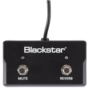 Blackstar FS17 - 2 Sonnet Footcontroller