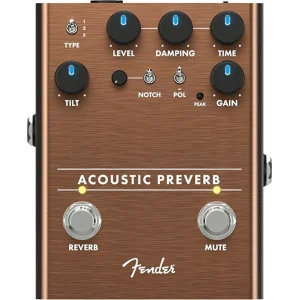 Fender Acoustic Preverb Preamp/Reverb