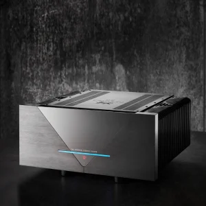 Gryphon Essence Mono Güç Amplifikatörü Çift Fiyatıdır