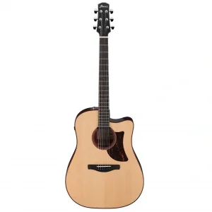 IBANEZ AAD300CE-LGS Elektro Akustik Gitar