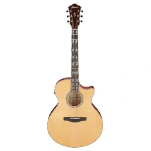 Ibanez AE170-NTR Elektro Akustik Gitar