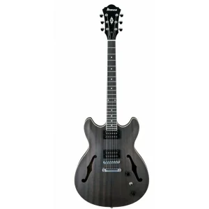 Ibanez AS53-TKF Elektro Gitar
