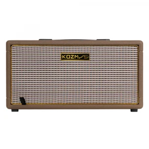 KOZMOS Flare-20 Dahili Efektli Elektro Gitar Amfisi