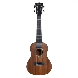 Mercury UK-C1 Concert Ukulele Kılıflı