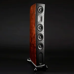 Raidho TD3.2 Kule Hoparlör