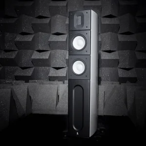 Raidho X2.6 Kule Hoparlör